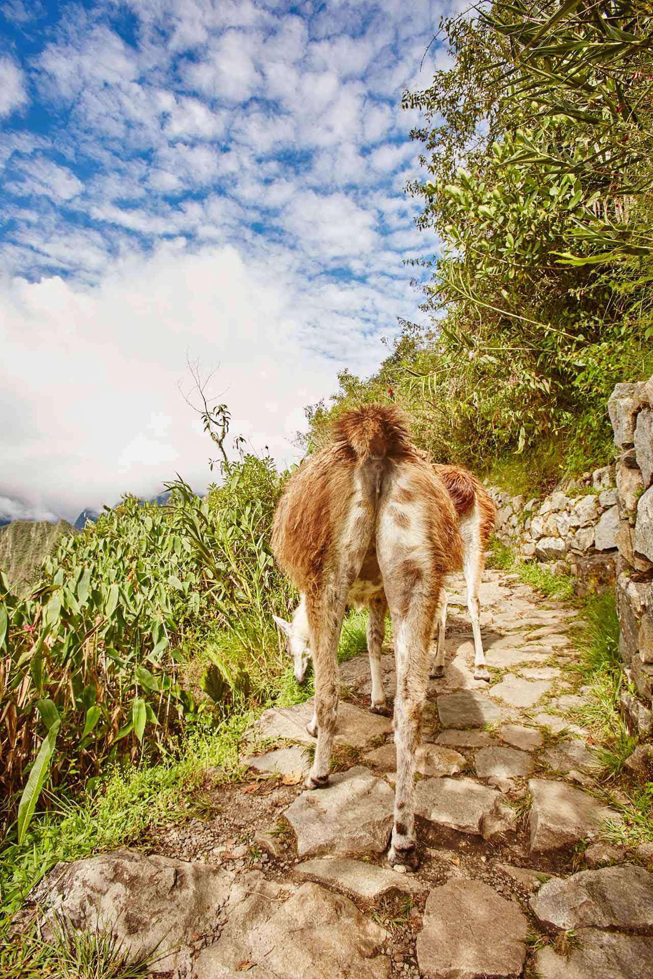 A child in Peru - Rohan Shrestha's photography | Fashion magazine | Fashion magazine in India | Online fashion magazine | Online fashion magazine in India | Indian fashion magazine