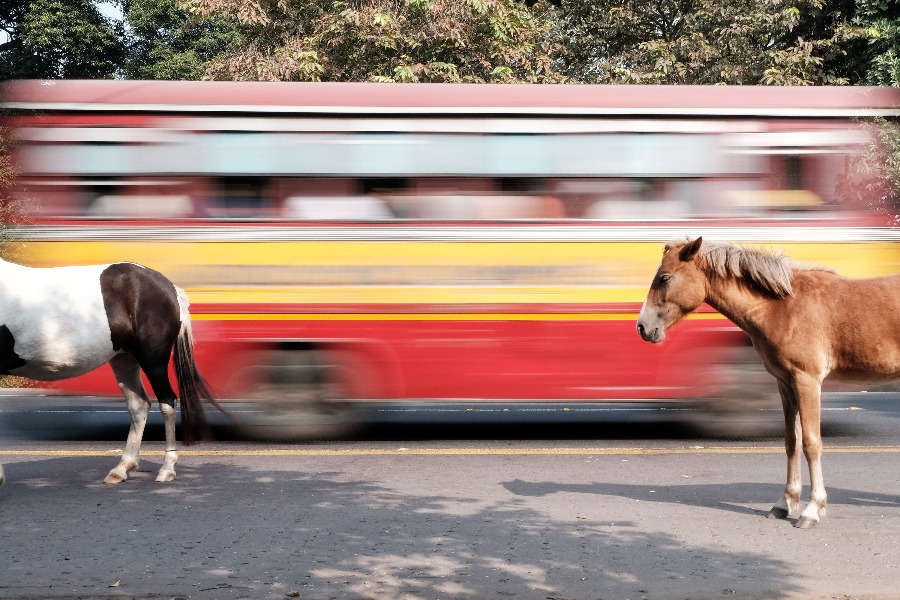 6 Street photographer, Kaushal Parikh captures love in maximum city, as seen on currentMood magazine