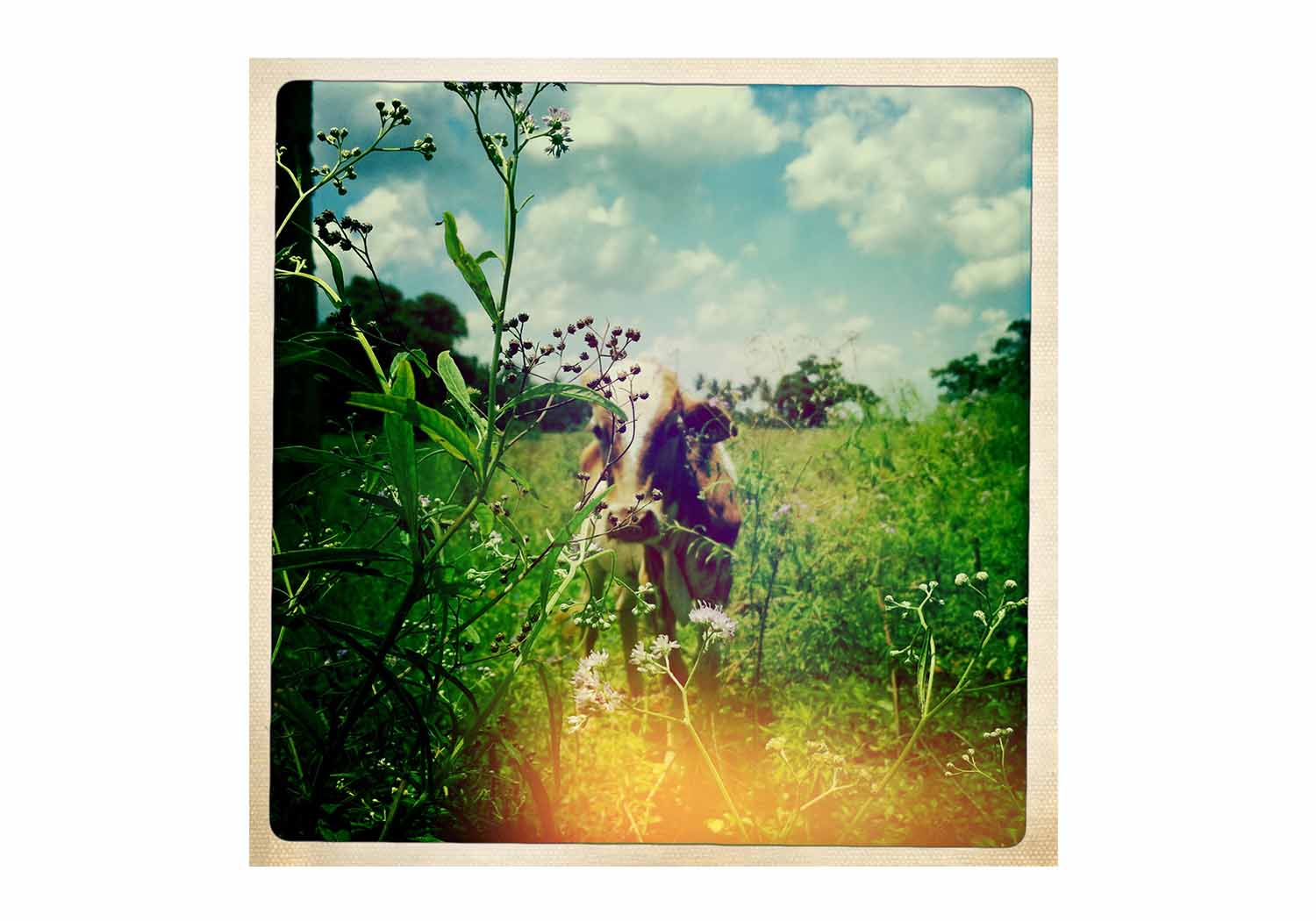 Zanzibar - Natasha Hemrajani for currentMood