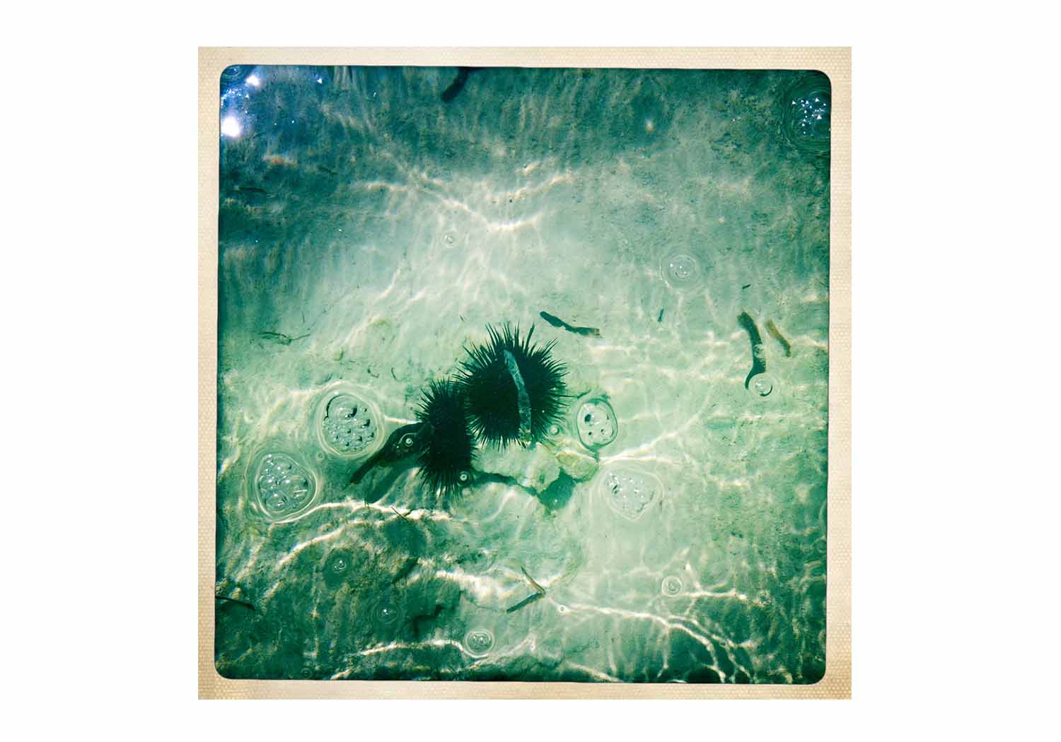 Zanzibar - Natasha Hemrajani for currentMood