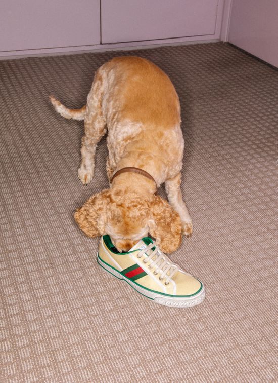 Second Chapter Of #AccidentalInfluencer – Dedicated To The Gucci Tennis 1977 Sneaker-5 Second Chapter Of #AccidentalInfluencer – Dedicated To The Gucci Tennis 1977 Sneaker-5