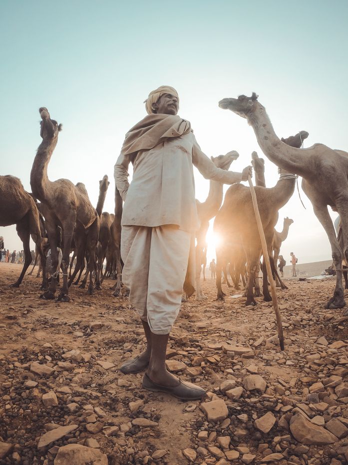 Travel photographer Harmeet Singh photographs Pushkar mela, one of India's largest camel, horse and cattle fairs.