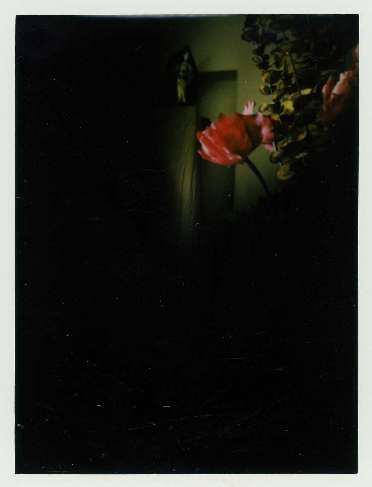 Chandni Bahri captures artistic nude polaroids of Nidhi Sunil for currentMood Magazine